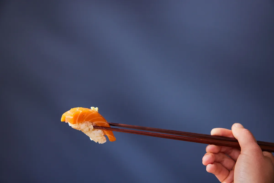 세포 배양한 연어. (사진 W​ildtype)/뉴스펭귄