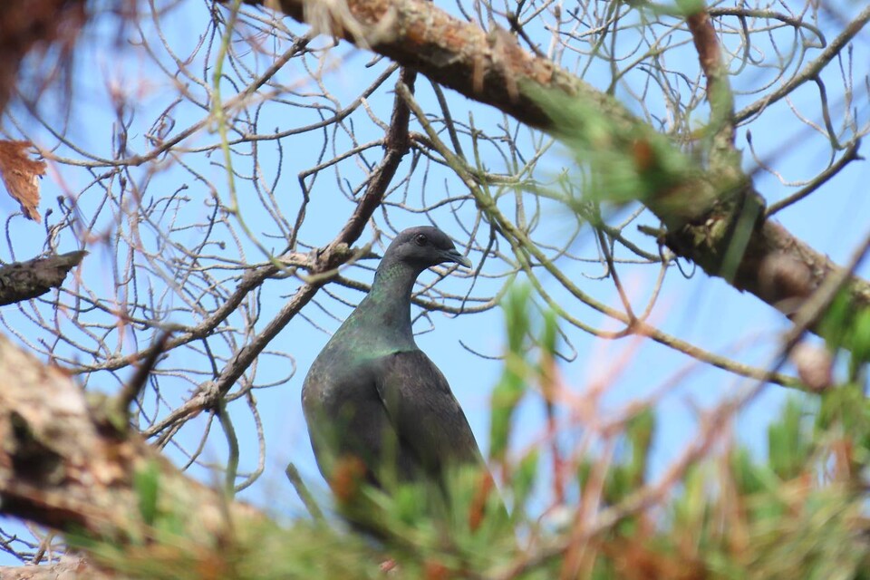 (사진 짹짹휴게소 제공)/뉴스펭귄
