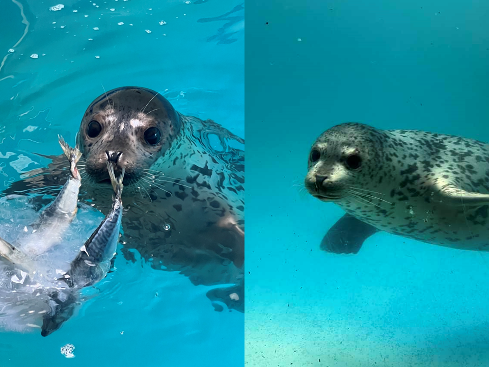 (사진 해양수산부 제공)/뉴스펭귄