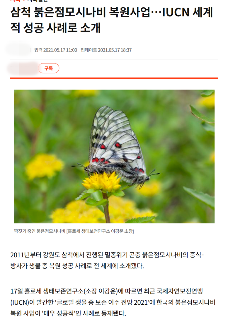멸종위기 붉은점모시나비 복원 활동은 당시 원주지방환경청, 강원도, 삼척시 등 관계 기관이 공식적으로 참여한 프로젝트로 진행됐으며, 방사 당시 관련 보도자료와 언론 보도도 다수 확인됐다. (사진 뉴스 페이지 캡쳐)/뉴스펭귄