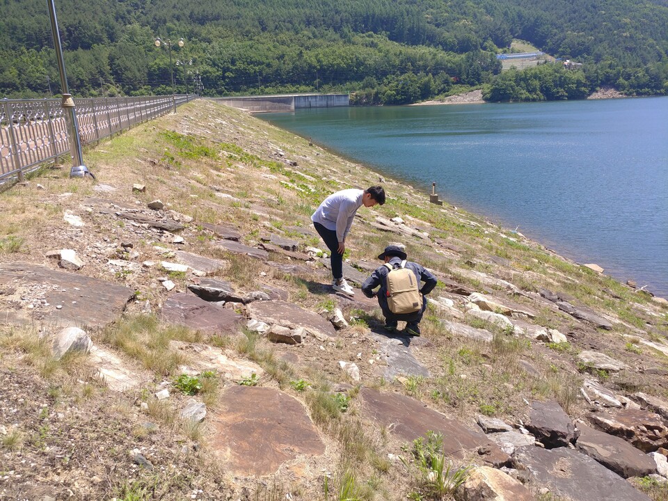 홀로세생태보존연구소는 2011년부터 광동댐에서 붉은점모시나비 복원 프로젝트를 진행해왔다. (사진 이강운 홀로세생태보존연구소 소장)/뉴스펭귄