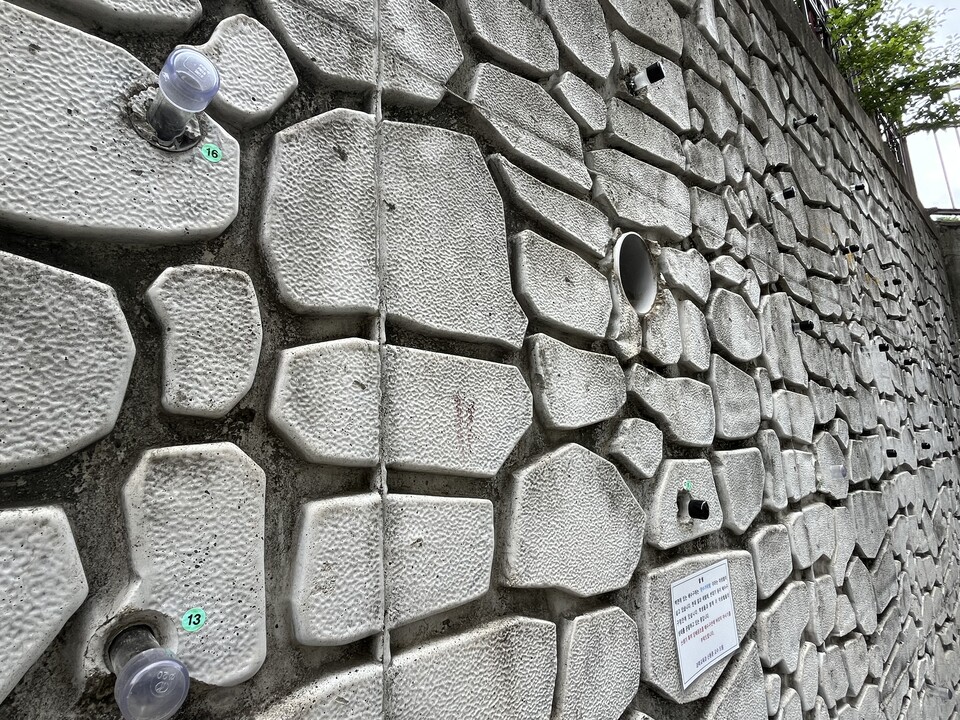 (사진 이수연 기자)/뉴스펭귄