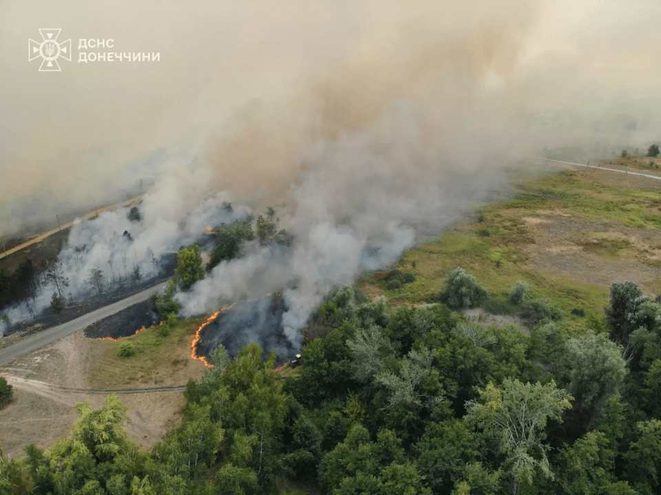 러시아의 포격으로 우크라이나 동부 도네츠크주의 숲이 불타고 있다. (사진 wikimedia commons)/뉴스펭귄