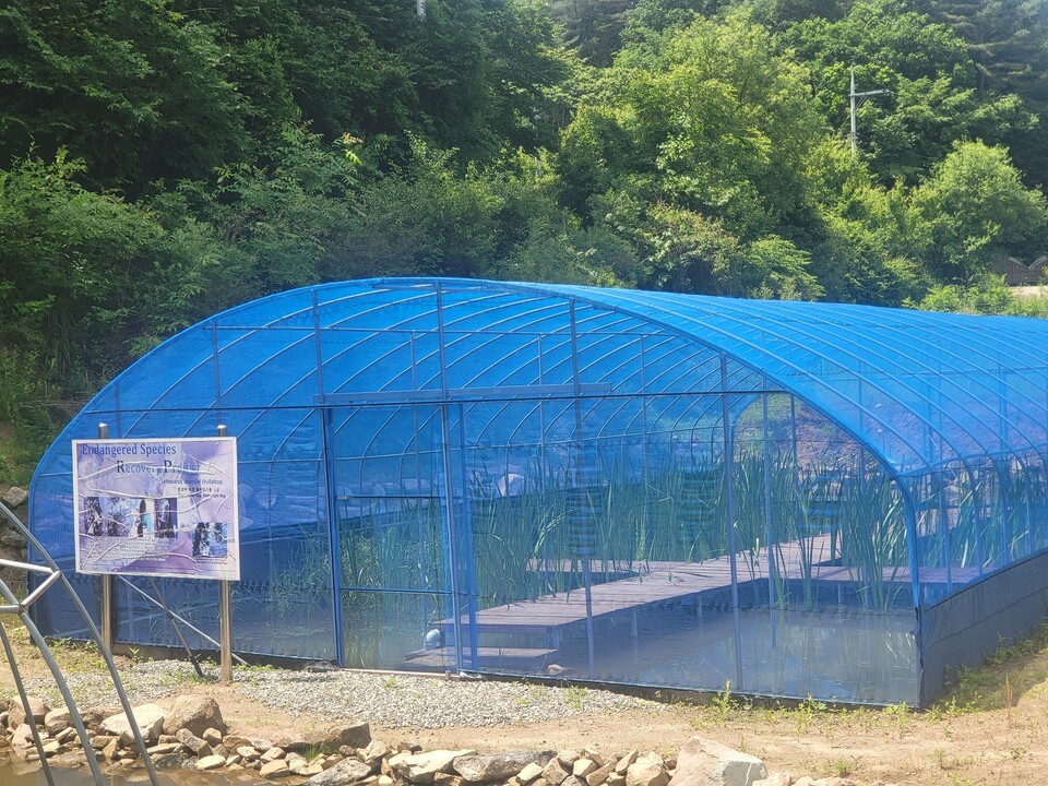 물장군 야생성 적응 훈련 야외 실험실. (사진 이강운 대기자)/뉴스펭귄