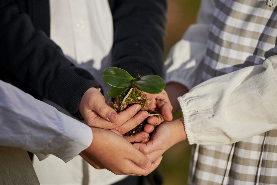 아이들을 위한 환경 교육은 이미 충분하고 이제는 어른 교육이 필요하다는 주장이 나왔다. (사진 클립아트코리아)