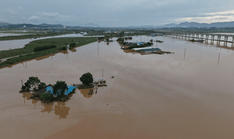 (사진 녹색연합)/뉴스펭귄
