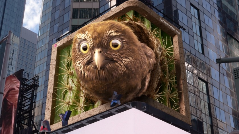 LG전자가 미국 뉴욕 타임스스퀘어 전광판에서 ‘피그미 올빼미’를 주제로 한 7번째 ‘LG와 함께하는 위기 동물 보호 캠페인’ 영상을 공개했다. (사진 LG전자)