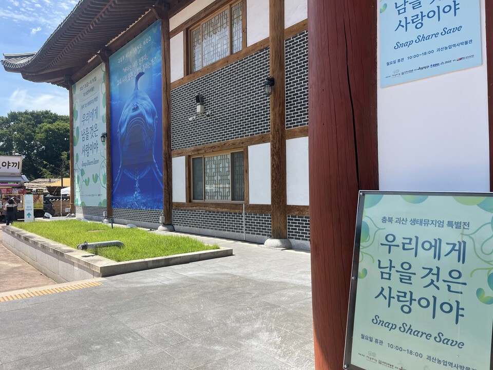 (사진 이수연 기자)/뉴스펭귄