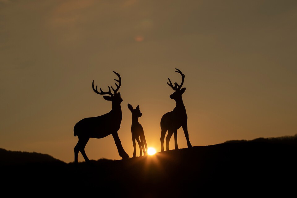 폭염이 전 세계를 강타하는 가운데 북유럽에도 무더위가 이어지져 현지 주민들은 물론이고 순록 건강에도 영향을 미치고 있다. 사진은 독자 이해를 돕기 위한 이미지로 기사 속 특정 장소 등과 관계없음. (사진 클립아트코리아) 