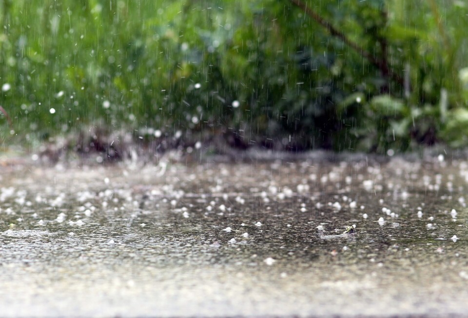 폭염과 열대야가 이례적으로 빨리 시작된 가운데 집중호우와 무더위가 연일 이어지는 힘겨운 여름이 이어지고 있다. (사진 클립아트코리아)/뉴스펭귄 