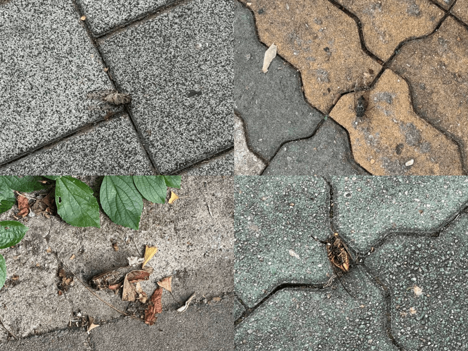 (사진 우다영 기자)/뉴스펭귄