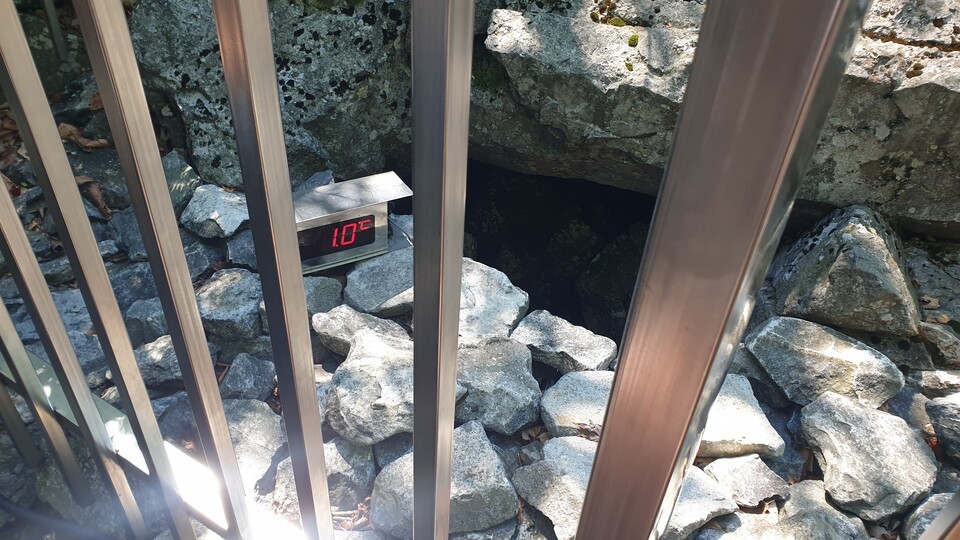 밀양 얼음골 결빙지의 온도는 한낮에도 1도를 유지하고 있다.(사진 국립수목원)/뉴스펭귄