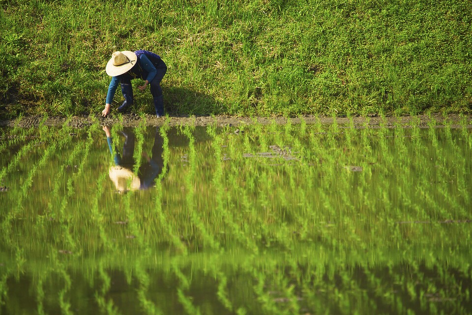 야외에서 허리를 굽히거나 앉아서 일하면 서 있을 때 보다 더위에 더 취약한 것으로 나타났다. (사진 클립아트코리아)/뉴스펭귄