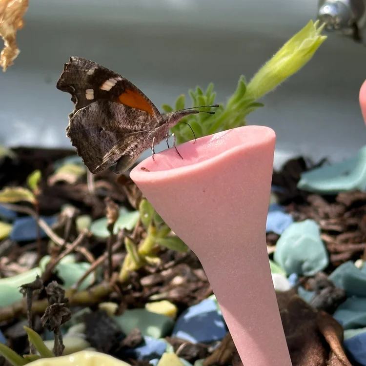 컵 안쪽에는 미세한 능선이 있어 벌과 나비가 미끄러지지 않고 앉을 수 있으며, 자외선에 반응하는 특수 유약을 사용해 곤충 눈에는 꽃처럼 보이도록 설계됐다. (사진 Bee Cups 공식 홈페이지)/뉴스펭귄