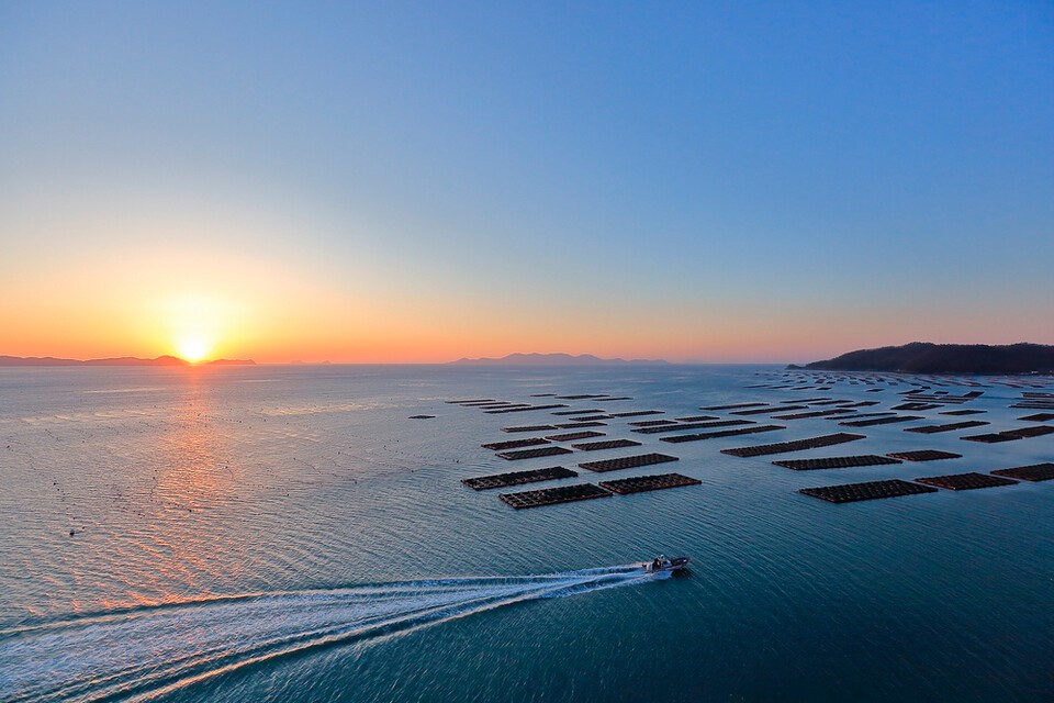경남 남해와 전남 여수 등에 적조 예비특보가 발표되면서 적조 위기경보 ‘주의’ 단계가 발령됐다. 사진은 독자 이해를 돕기 위한 이미지로 기사 속 장소 등과 전혀 관계없음. (사진 클립아트코리아)/뉴스펭귄