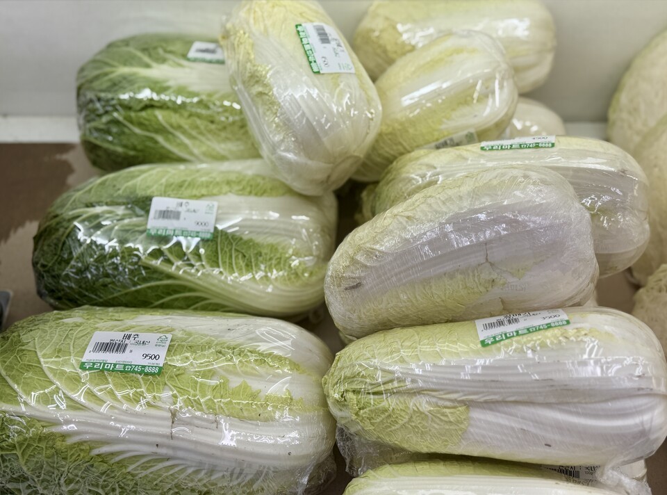 8월 27일 동대문의 한 마트에서 포장돼 판매 중인 배추. 가격표에는 9500원이 찍혀 있다. (사진 곽은영 기자)/뉴스펭귄