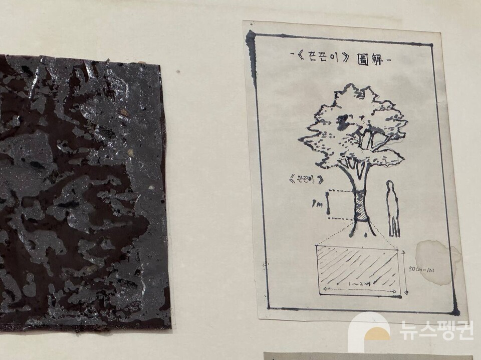 왼쪽 갈색 모형이 실제 끈끈이다. 무수히 많은 곤충 사체가 붙어 있다. (사진 우다영 기자)/뉴스펭귄