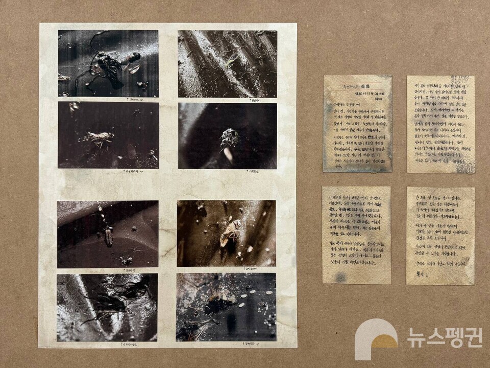 (사진 우다영 기자)/뉴스펭귄