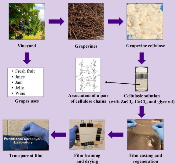 연구팀은 덩굴을 건조·분쇄한 뒤 알칼리 처리와 표백 과정을 거쳐 셀룰로스를 정제했다. (사진 Sustainable Food Technology 연구자료 캡처)/뉴스펭귄