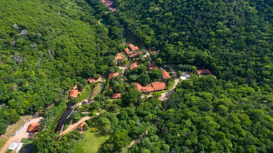 (사진 Instittuto Terra 홈페이지)/뉴스펭귄