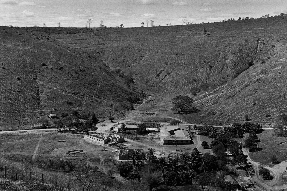 (사진 Instittuto Terra 홈페이지)/뉴스펭귄