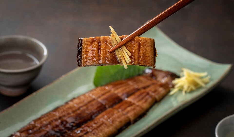 한국인에게는 흔한 식재료인 장어가 국제사회에서는 멸종위기로 불리며 거래 규제 논의의 중심에 서 있다. (사진 클립아트코리아)/뉴스펭귄