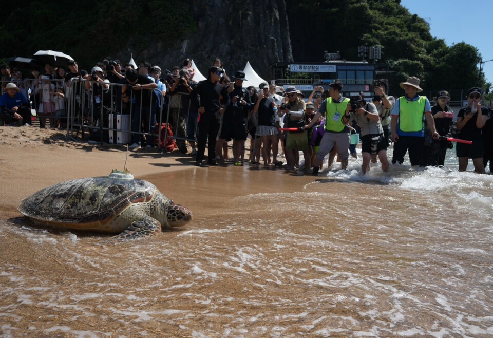(사진 해양수산부)/뉴스펭귄