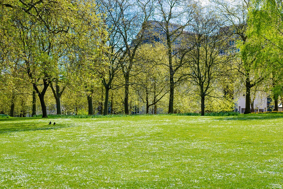 잉글랜드에서 효과적으로 보호되는 자연 지역은 2024년 2.93%에서 2025년 2.83%로 감소했다. 사진은 독자 이해를 돕기 위한 이미지로 기사 속 특정 장소 등과 관계없음. (사진 클립아트코리아)