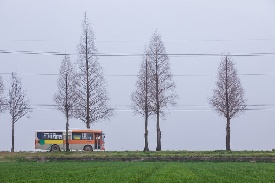 일부 기초지자체가 ‘무상버스’를 시행 중인 가운데, 이 정책이 교통약자의 이동권 보장 뿐만 아니라 탄소중립 실천 측면에서도 훌륭한 해법이라는 주장이 나왔다. 사진은 독자 이해를 돕기 위한 이미지. (사진 클립아트코리아)/뉴스펭귄