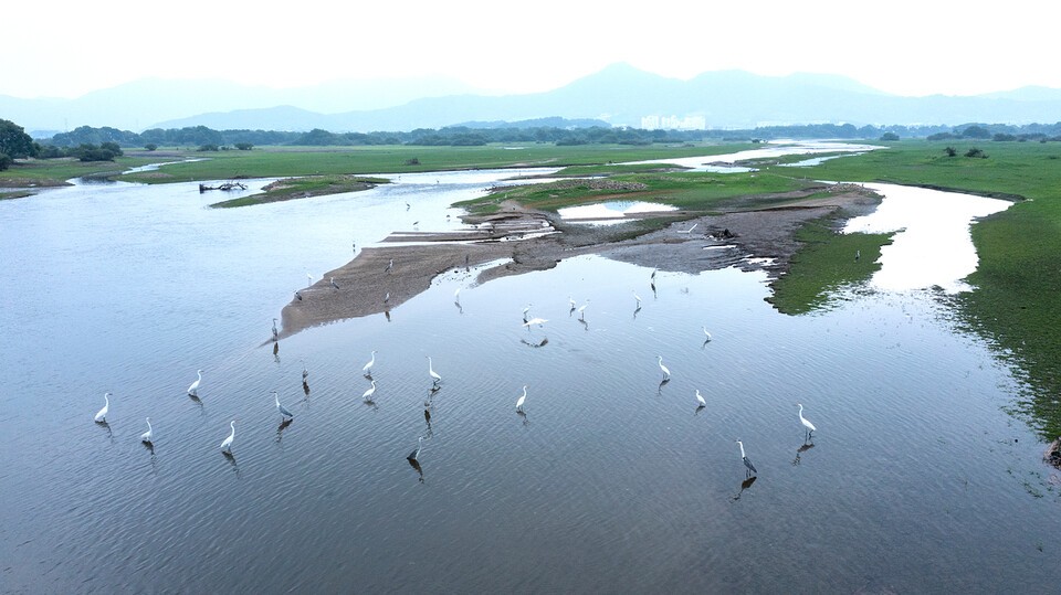 겨울 철새가 여름에 나타나거나 여름 철새가 겨울에 나타나는 현상도 관찰된다. 사진은 독자 이해를 돕기 위한 이미지로 기사 내용과 관계 없음. (사진 클립아트코리아)/뉴스펭귄