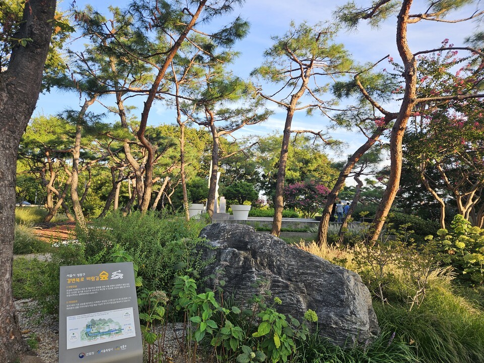 강변북로 성수대교 북단. (사진 서울시)/뉴스펭귄