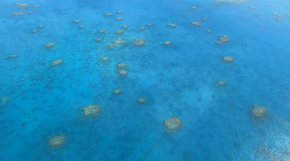 상공에서 관찰한 그레이트 배리어 리프 지역. (사진 곽은영 기자)/뉴스펭귄