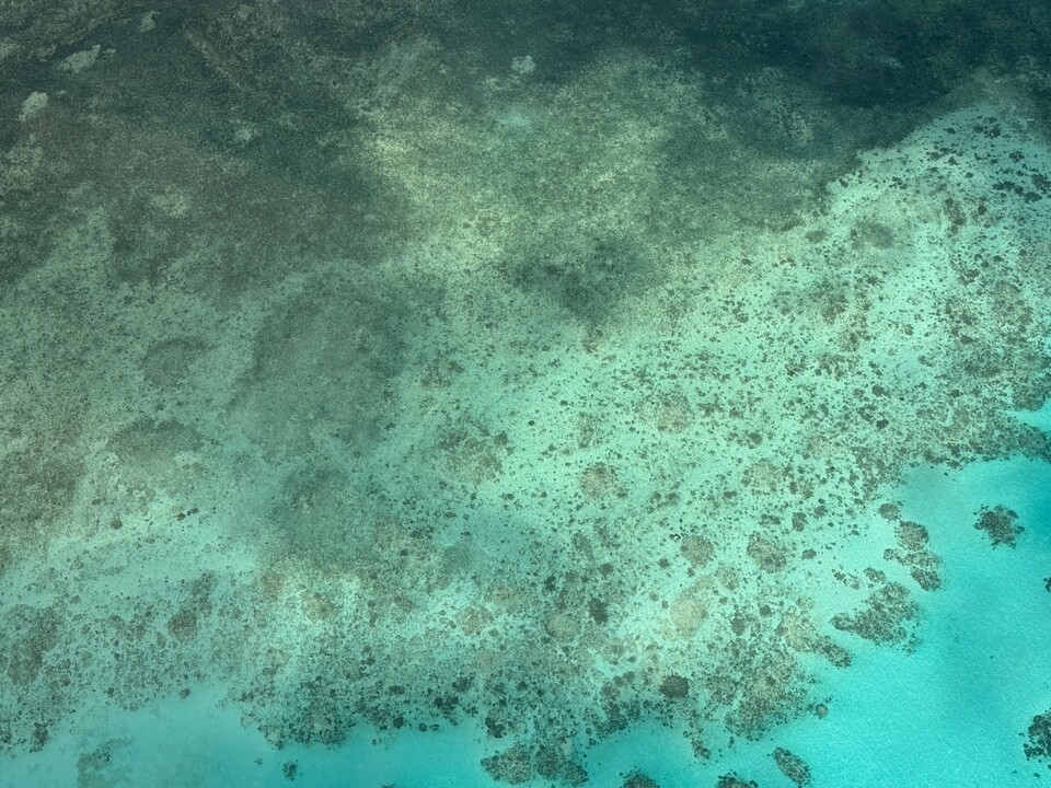 그레이트 배리어 리프 상공에서 비행기 밖으로 보이는 산호 군락. (사진 곽은영 기자)/뉴스펭귄