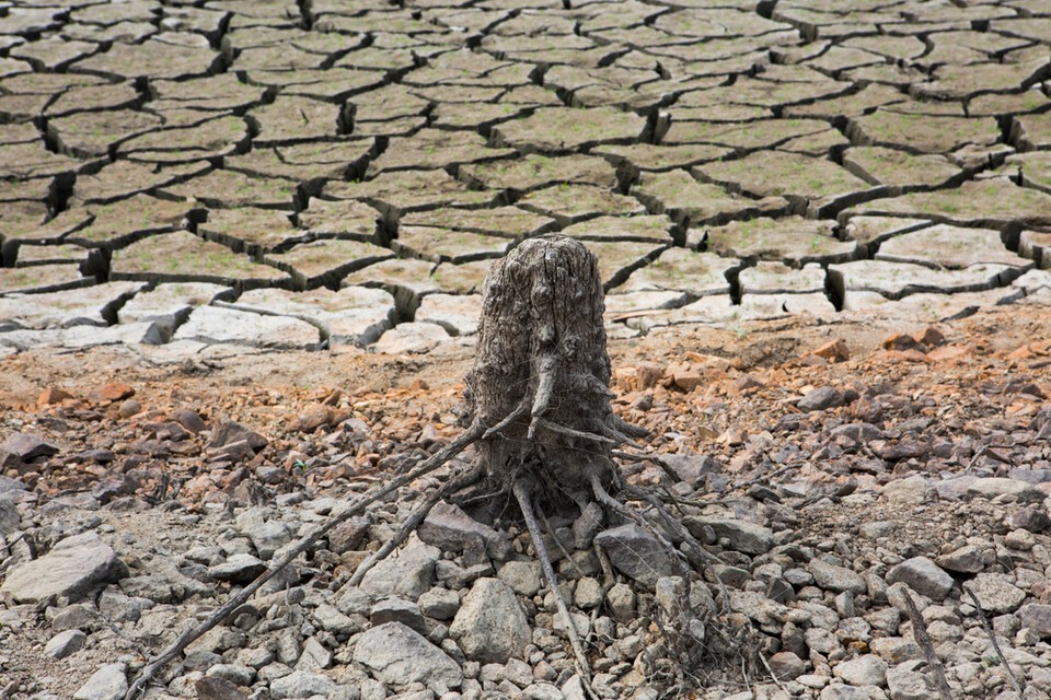 지구는 1초도 미생물 없이는 존재할 수 없다. (사진 클립아트코리아)