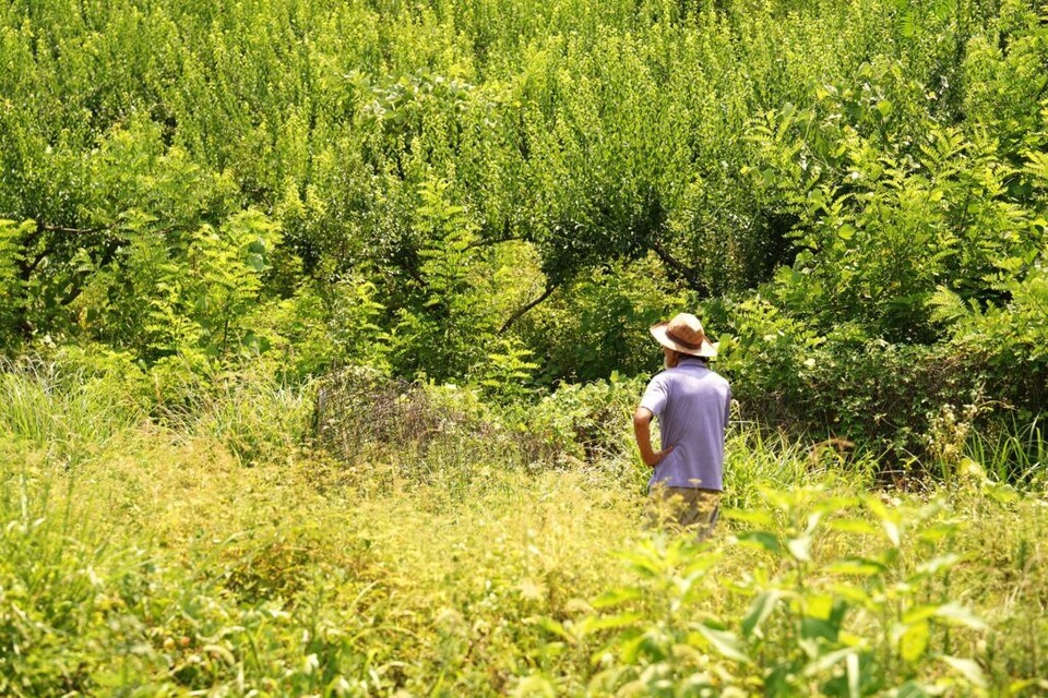 (사진 이동재 기자)/뉴스펭귄