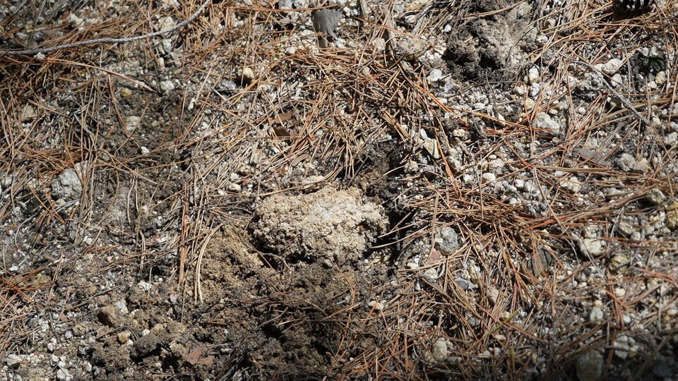 송이균. (사진 이동재 기자)/뉴스펭귄