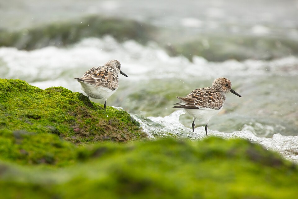 독자 이해를 돕기 위한 사진으로 기사 내용과 직접적인 관련 없음. (사진 클립아트코리아)/뉴스펭귄