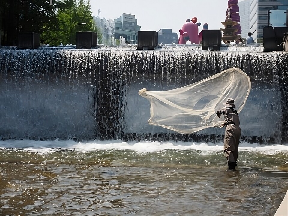 지난 5월 국립중앙과학관과 서울시설공단이 청계천의 어류상 변화를 확인하기 위해 실시한 생태 조사에서 민물고기 '쉬리'가 발견됐다. (사진 국립중앙과학관, 본지DB)/뉴스펭귄