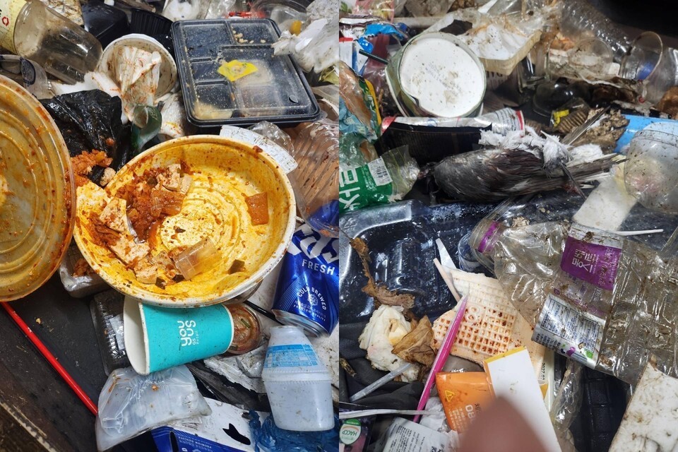 재활용 선별원이 직접 제공한 현장 사진. 왼쪽부터 씻지 않고 그냥 버려진 배달 용기가 폐기물에 섞여 있는 모습, 동물 사체가 쓰레기 속에 그대로 버려진 모습. 특히 이렇게 버려진 동물사체는 손으로 직접 선별 작업을 하는 선별원들에게 큰 트라우마가 된다. (사진 여성환경연대)/뉴스펭귄