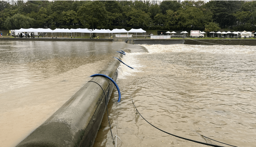 가동보 운영 중인 탄천. (사진 성남환경운동연합 제공)/뉴스펭귄