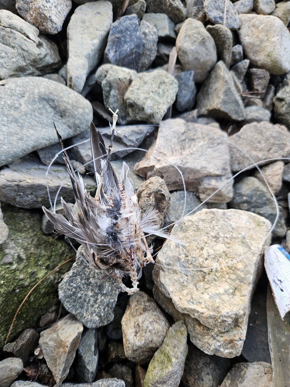 (사진 짹짹휴게소 제공)/뉴스펭귄