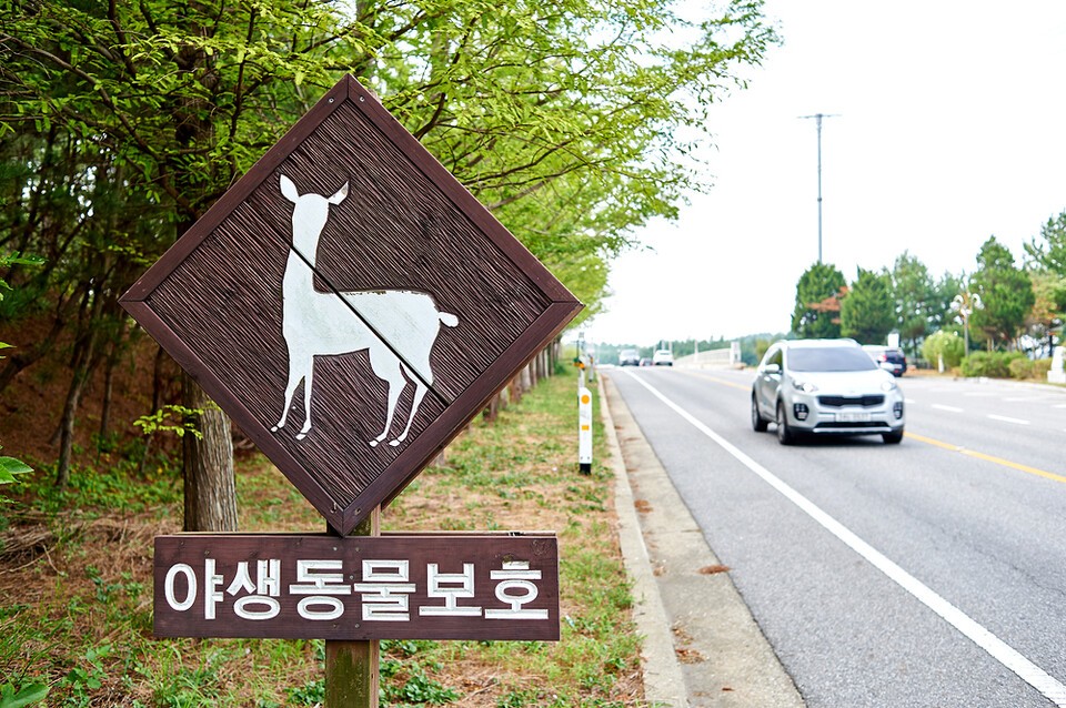 독자 이해를 돕기 위한 사진으로 기사 내용과 직접적인 관련 없음. (사진 클립아트코리아)/뉴스펭귄