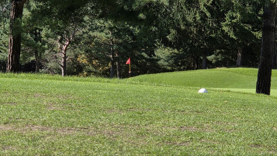 유럽연합(EU)과 미국 등 해외에서 금지된 농약 성분 일부가 국내 골프장에서 여전히 사용 중인 것으로 나타났다. 독자 이해를 돕기 위한 이미지로 사진 속 장소는 기사 특정 내용과 관계없음. (사진 본지 DB)/뉴스펭귄
