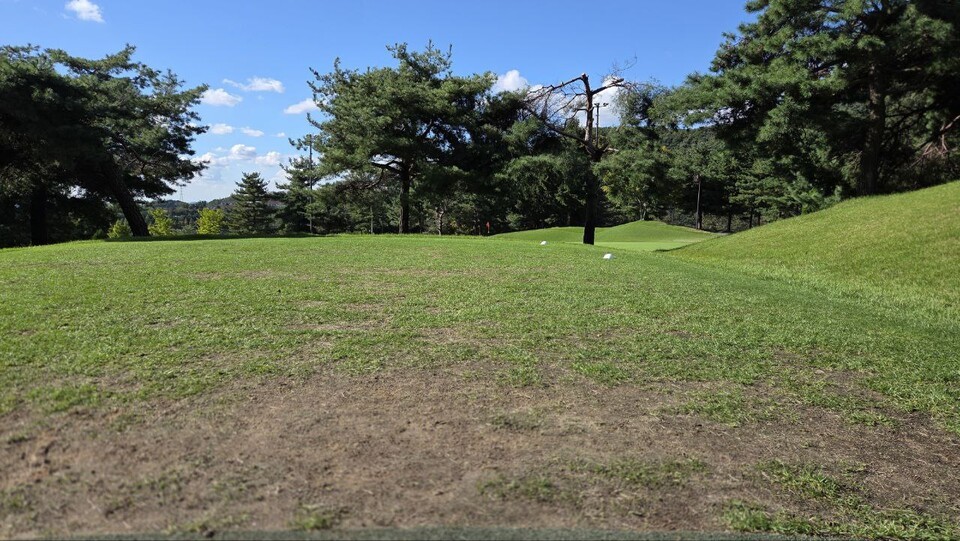 발암성, 신경독성, 생식독성, 수생생물 피해 등으로 국제적으로 금지되는 농약 성분들이 국내에서는 제한없이 뿌려지고 있다. 독자 이해를 돕기 위한 이미지로 사진 속 장소는 기사 특정 내용과 관계없음. (사진 본지 DB)/뉴스펭귄