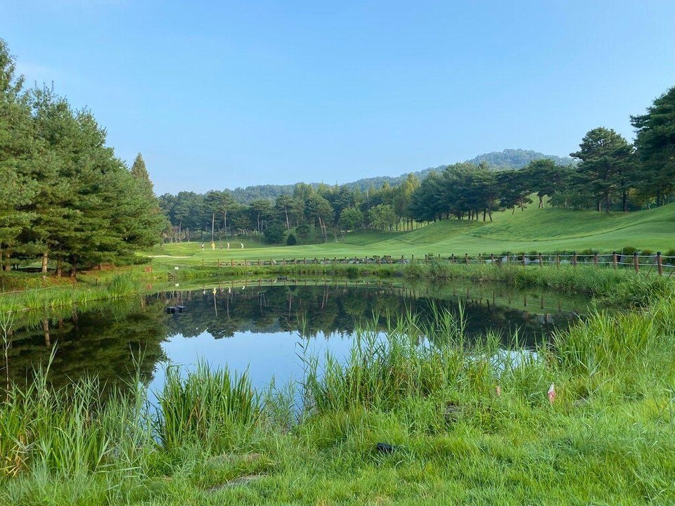 잔류농약은 대한민국 골프장 거의 모두의 토양 또는 수질에서 발견된다. 2023년 기준 전국 568곳의 골프장 중 527곳에서 잔류농약 성분이 검출됐다. 사진은 국내 한 골프장. 독자 이해를 돕기 위한 이미지로 기사 특정 내용과는 관계없음. (사진 본지DB)/뉴스펭귄