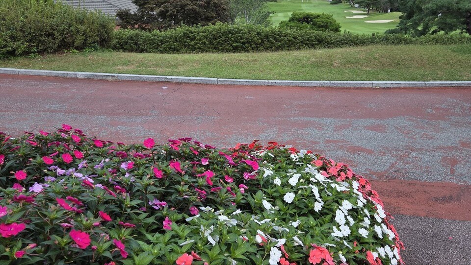 전국 골프장의 93%에서 토양 또는 수생태계에 농약이 잔류하고 있어 보다 철저한 관리감독이 필요하다는 지적이 제기된다. 사진은 독자 이해를 돕기 위한 이미지로 기사 특정 내용과 관계없음. (사진 본지DB)/뉴스펭귄