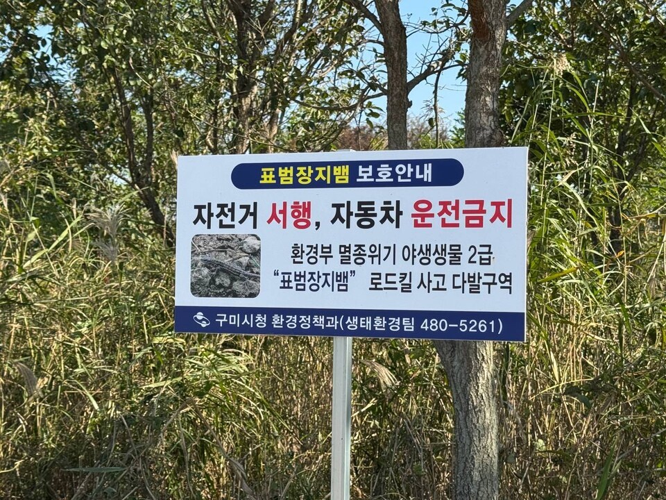 (사진 우다영 기자)/뉴스펭귄