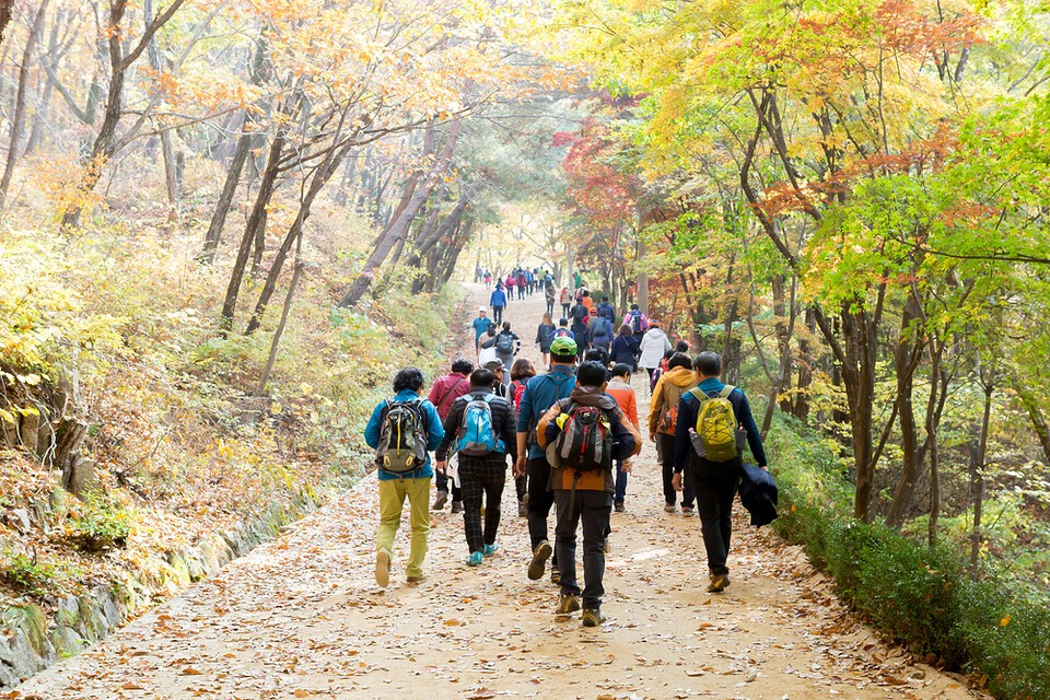 달라진 날씨로 여행지 성수기 지도가 바뀌는 가운데, 10월 휴양 관광지는 (기온 1도 상승 시) 방문객이 10%이상 늘어나는 것으로 나타났다. '따듯한 가을'을 즐기려는 수요다. (사진 클립아트코리아)/뉴스펭귄 