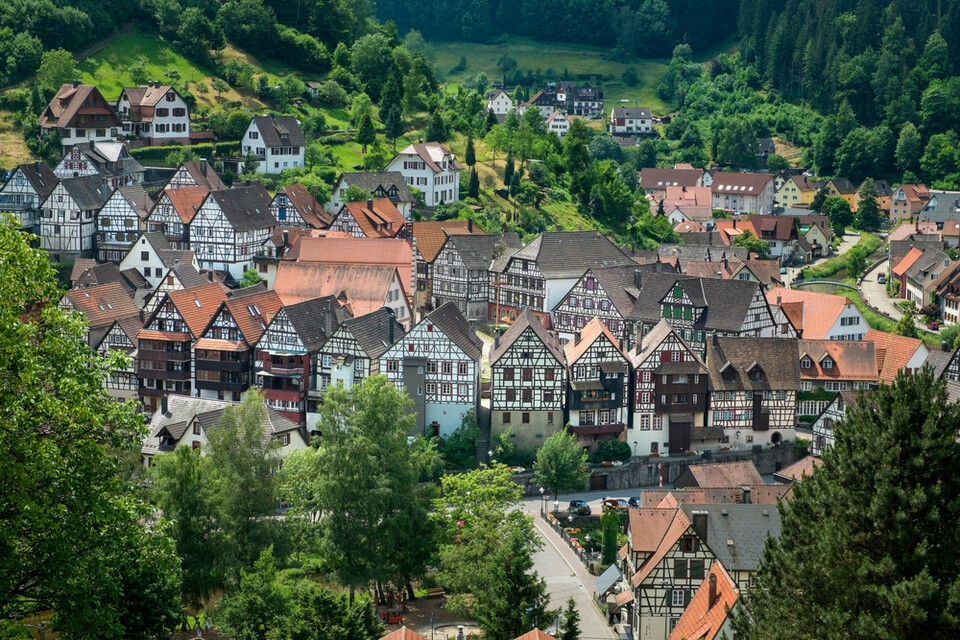 독일 베를린 시가 기후위기 적응을 위해 15년간 50만 그루 넘는 나무를 새로 심는 법을 의결했다. 사진은 독자 이해를 돕기 위한 이미지로 기사 특정 내용과 관계없음. (사진 클립아트코리아)