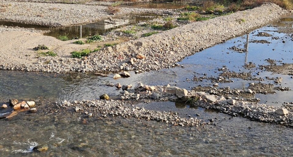 구성회 씨가 확인한 구간은 세 곳으로 나뉜다. 세 구간에 걸쳐 산란길이 막힌 것이다. 첫 번째는 하천 정비 공사로 바닥이 평탄화된 구간이다. (사진 구성회 씨 제공)/뉴스펭귄